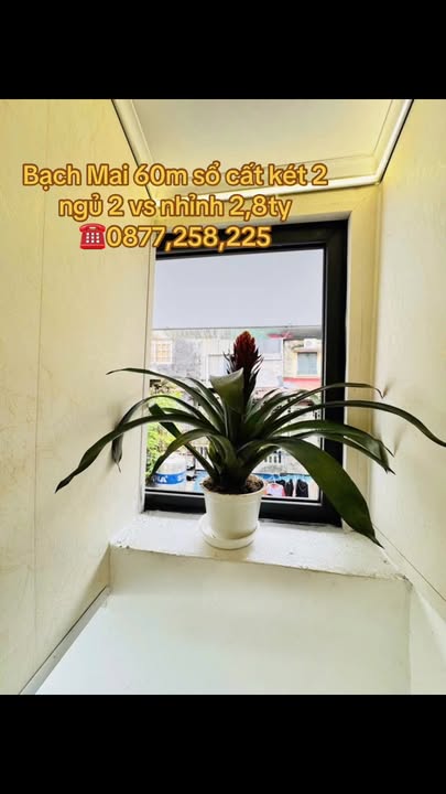 Căn hộ Tập Thể Bạch Mai, Hai Bà Trưng 60m² giá 2.8 tỷ - Thiết kế đẹp, nội thất xịn sò!