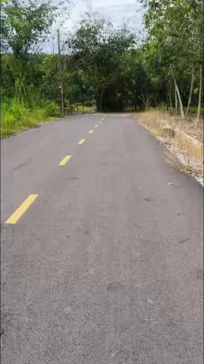 Đất nền Tân Hiệp, Phú Giáo 1900m² giá 1.6 tỷ - Đầu tư sinh lời ngay!