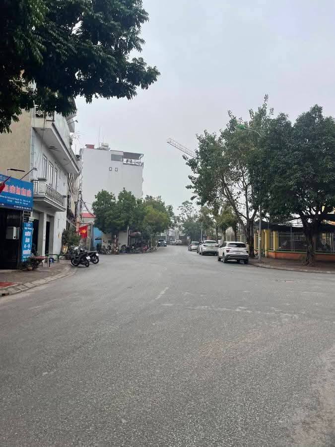 Biệt thự nhà vườn ngõ 137 Việt Hưng, Long Biên 141m² giá 14.8 tỷ - Ô tô vào tận nhà!