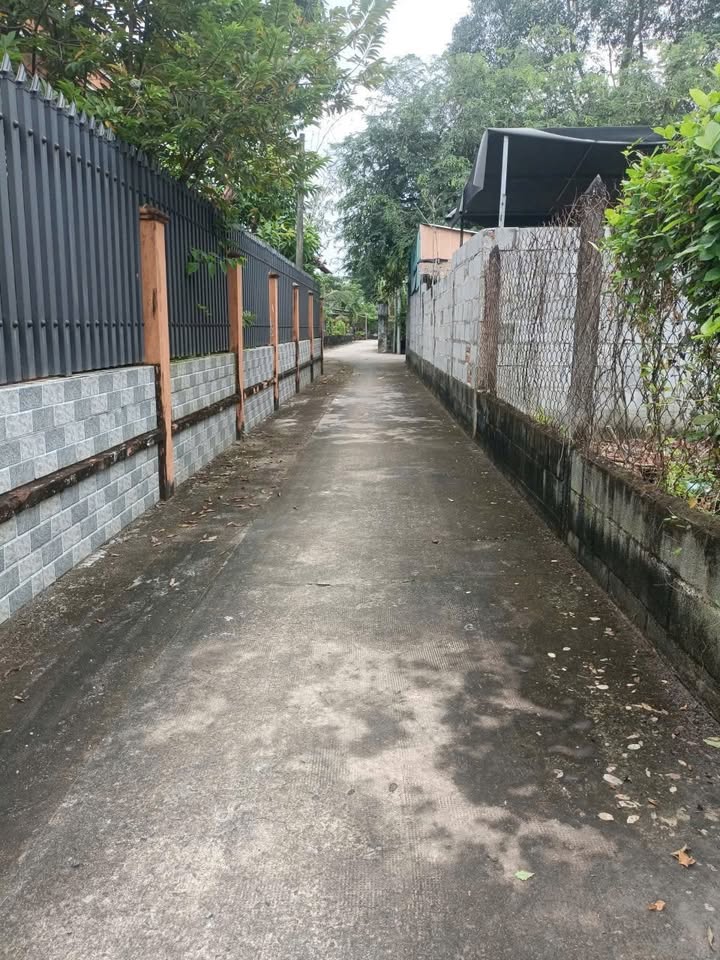 Đất nền Tân Thạnh Tây, Củ Chi 1245m² giá 3.2 tỷ - Đầu tư sinh lời ngay!