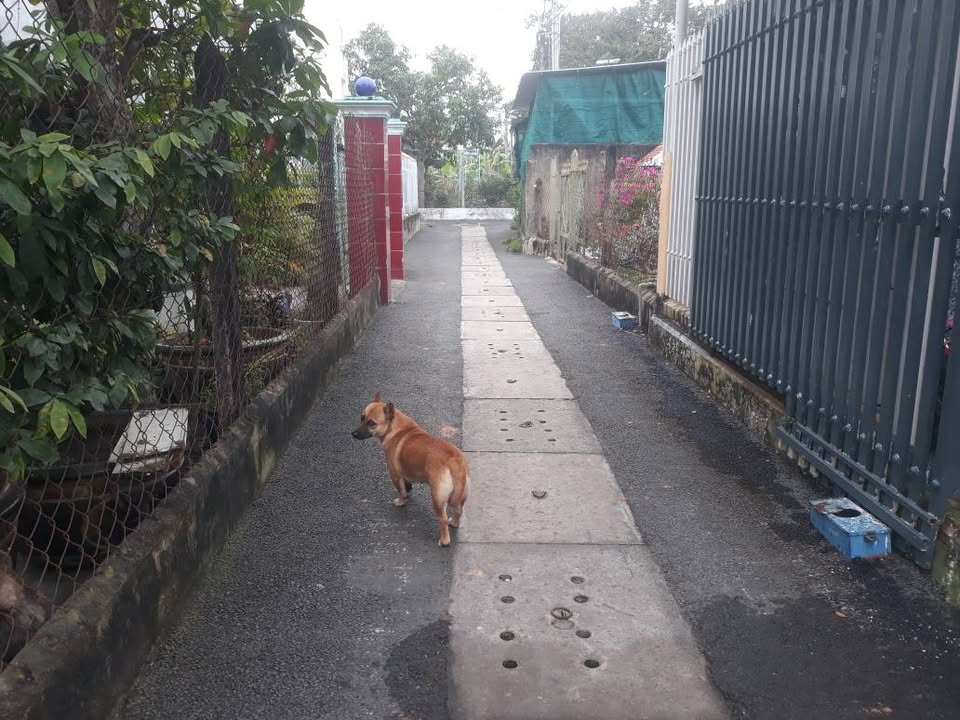 Đất thổ cư Phú An, Bến Cát 120m² giá 1.49 tỷ - Cơ hội đầu tư lý tưởng!