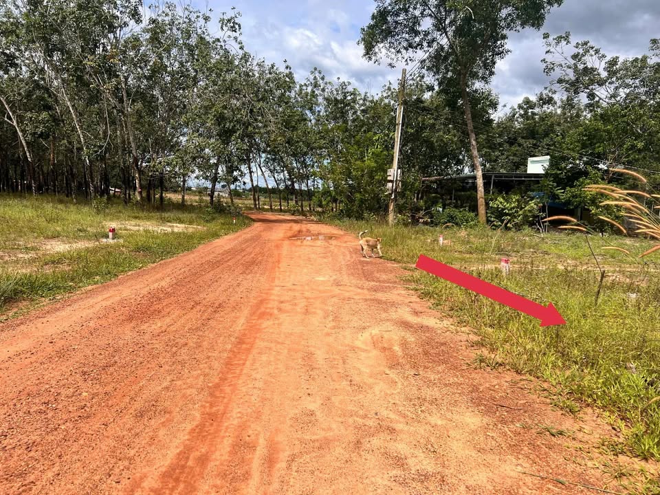 Đất nền đường ĐT749B, xã Minh Thạnh, 500m² giá 600 triệu - Cơ hội đầu tư hấp dẫn!