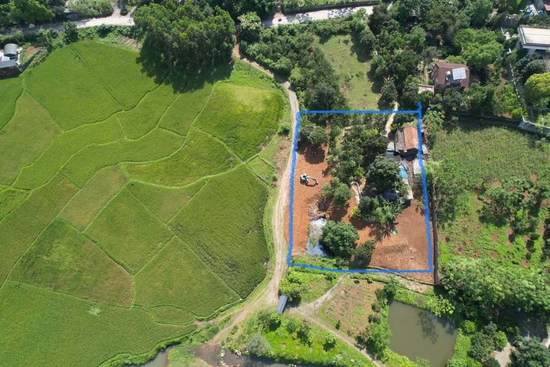 Đất nền 2400m² tại Xóm Đầm Đa, xã Liên Sơn, Phú Thọ - Giá đầu tư hấp dẫn!