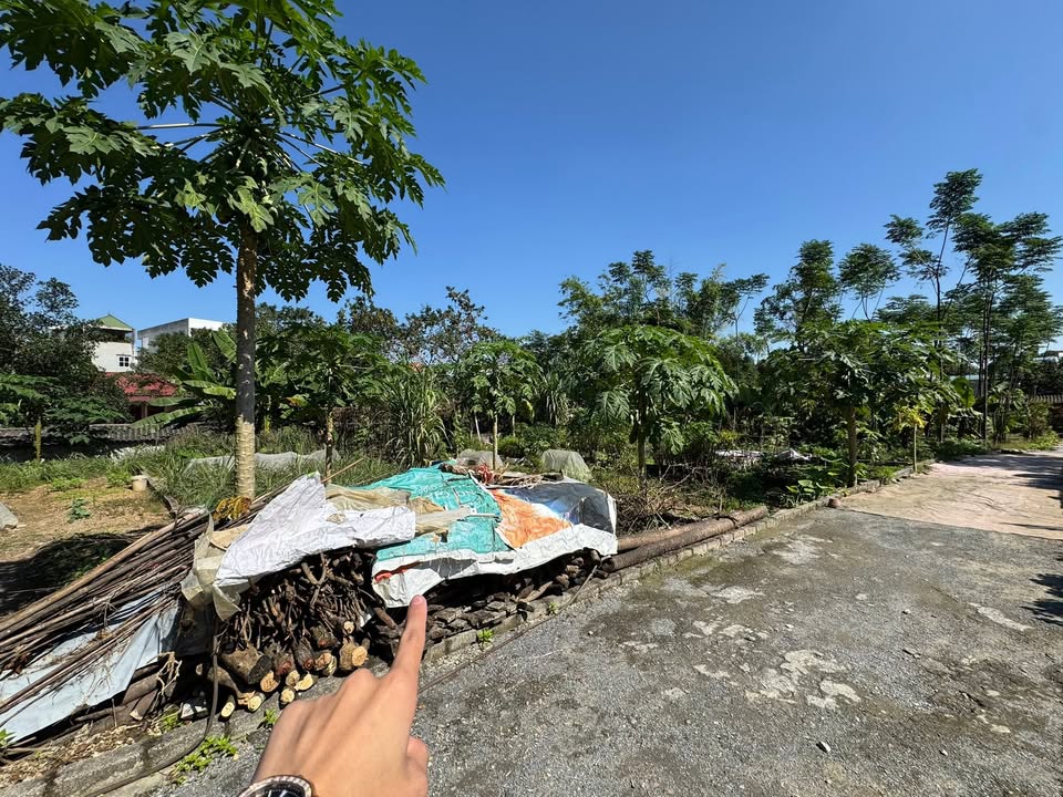 Đất nền Tân Bình Lương Sơn 100m² giá chỉ 1.2 tỷ - Đầu tư sinh lời ngay!