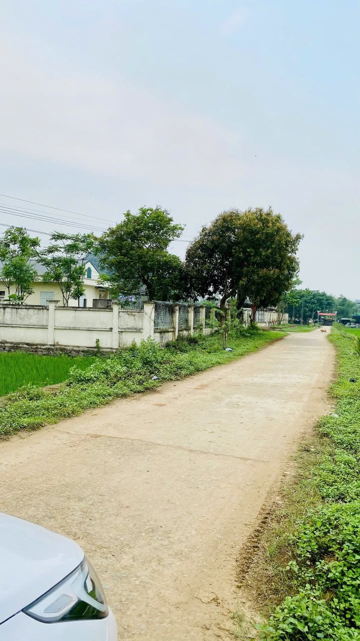 Đất nền Nhân Mỹ, Tân Lạc 300m² giá chỉ 190 triệu - Đầu tư sinh lời ngay!