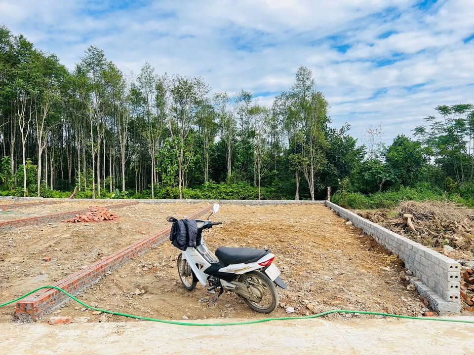 Đất nền Nhuận Trạch, Lương Sơn 115m² giá chỉ 1 tỷ - Đầu tư sinh lời cao!