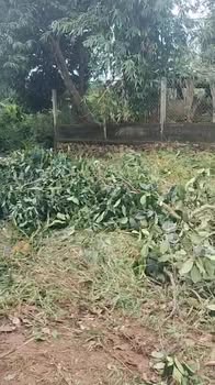 Bán đất mặt tiền Trần Khánh Dư, An Lạc, Buôn Hồ 380m² giá 1.6 tỷ - Cơ hội đầu tư tuyệt vời!