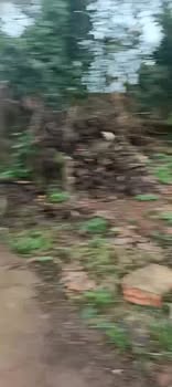 Đất nền Nguyễn Duy Trinh, Đạt Hiếu, 220m² giá 1.6 tỷ - Đầu tư sinh lời ngay!