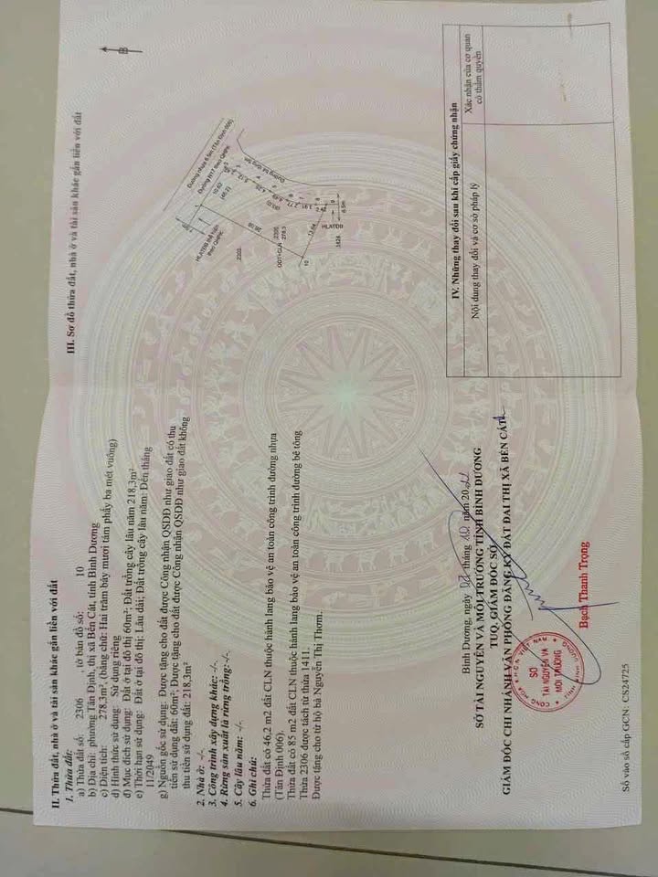 Đất nền Tân Định, Bến Cát 260m² - Giá đầu tư hấp dẫn!