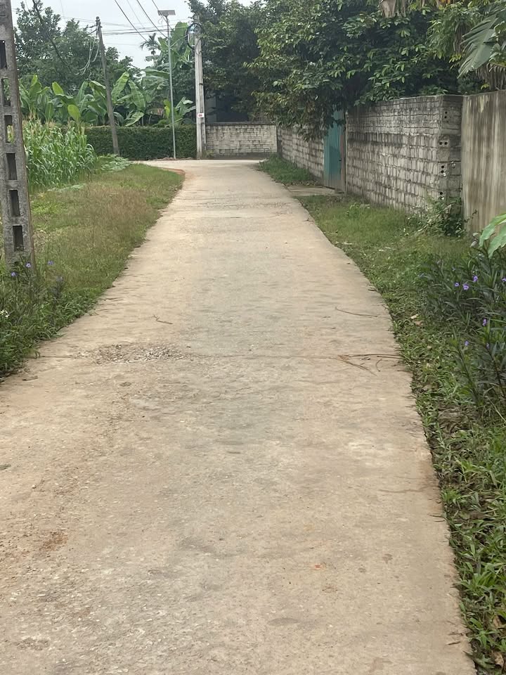 Đất nền Hợp Tiến, Triệu Sơn 214m² giá chỉ 500 triệu - Cơ hội đầu tư hấp dẫn!