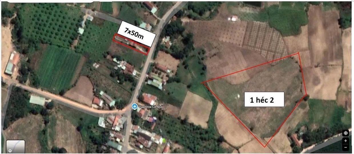 Đất ở và rẫy tại Đông Cũ, Kbang 12.750m² - Chính chủ cần bán gấp!