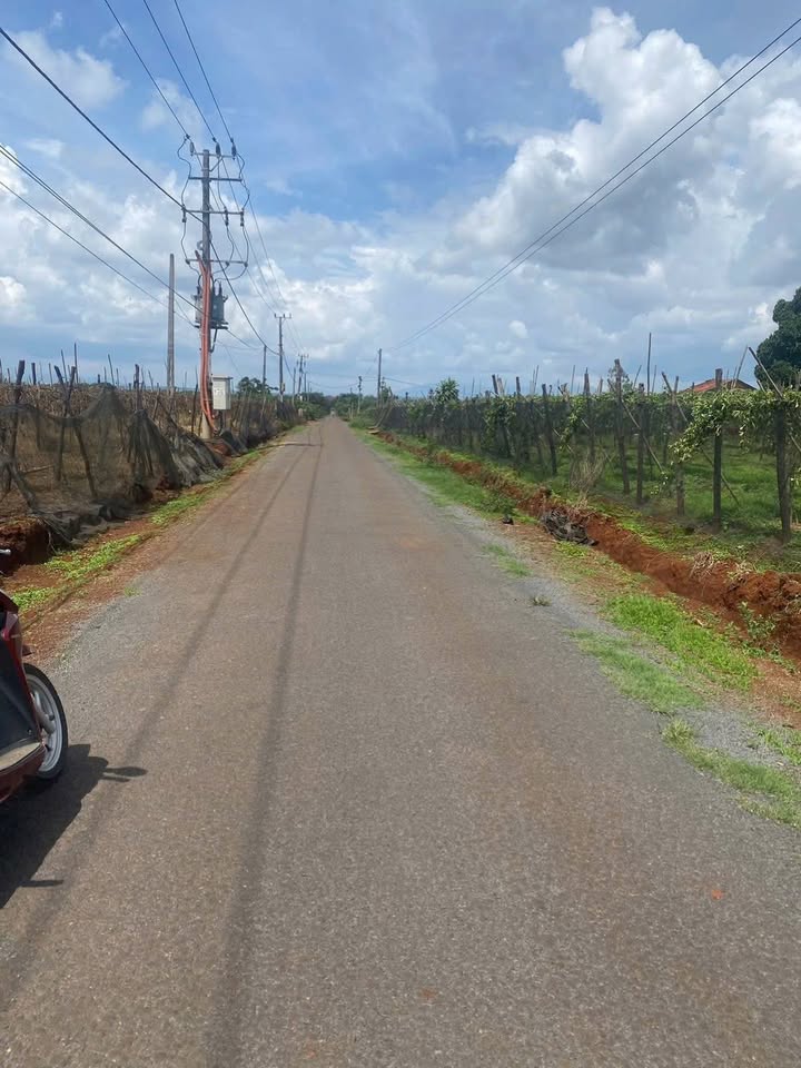 Đất nền An Phú, Pleiku 2000m² giá 2 tỷ - Sổ hồng chính chủ, xây dựng tự do!