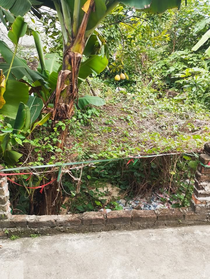 Đất Tả Thanh Oai 59m² giá 6 tỷ - Ô tô đỗ cửa, vị trí đẹp!