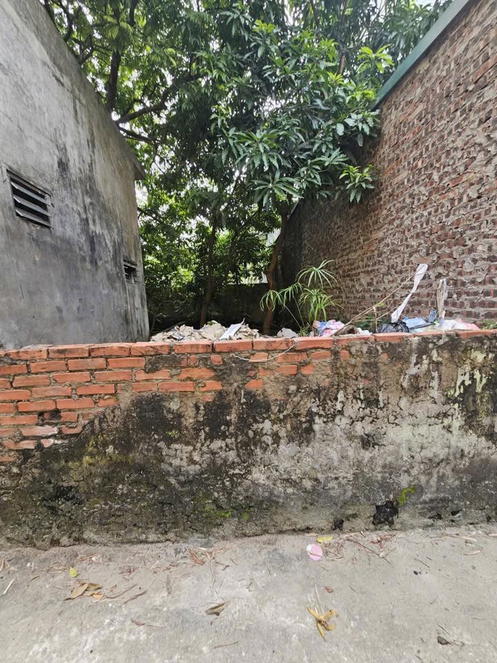 Đất nền Đại Áng Thanh Trì 30m² giá 3 tỷ - Sổ đỏ chính chủ, vị trí đẹp!