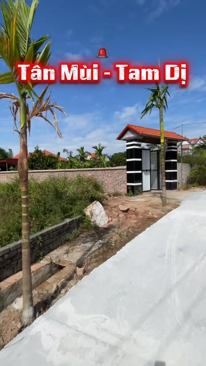 Đất nền Tam Dị, Lục Nam - 100m² chỉ 800 triệu - Sổ đỏ chính chủ!