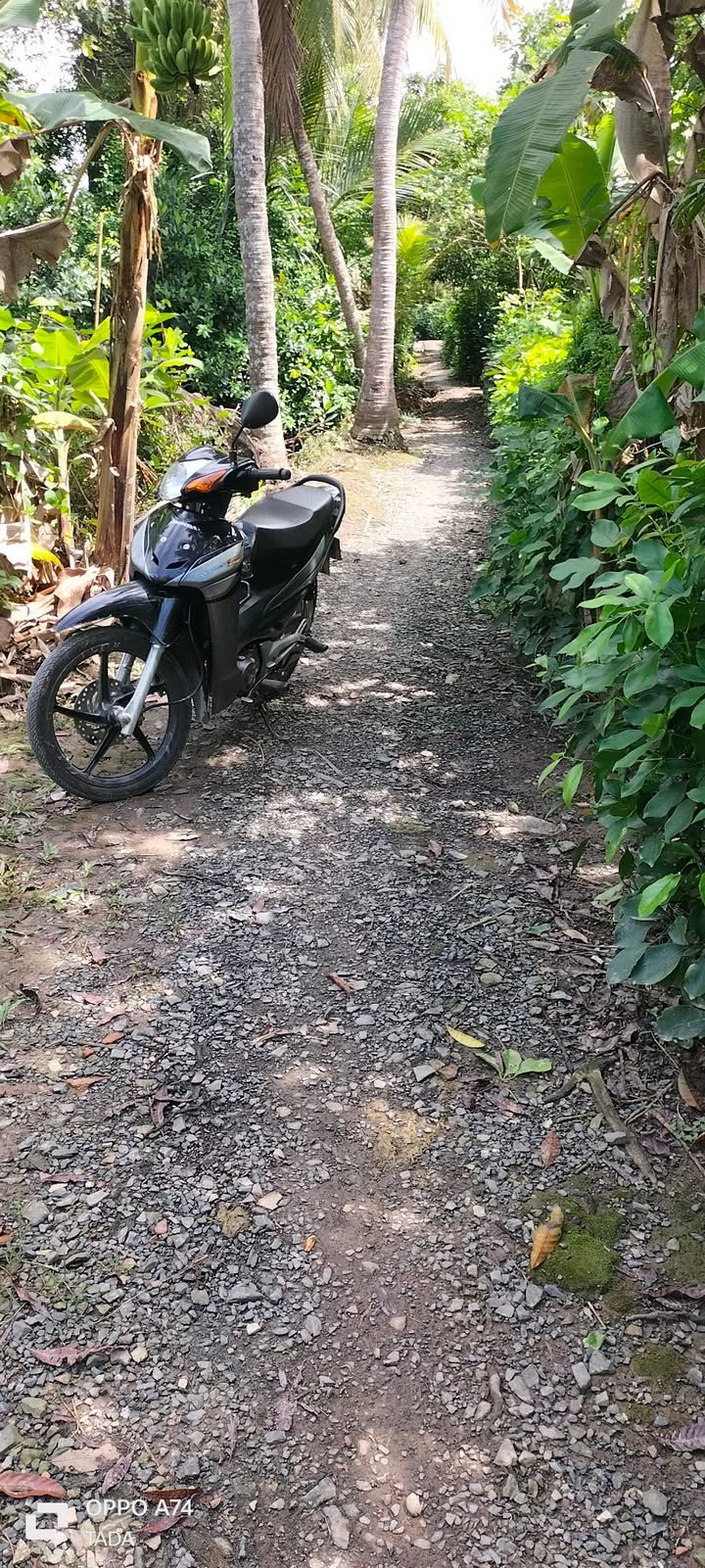 Đất nền Mỹ Thạnh Trung, Tam Bình, Vĩnh Long 3100m² giá 704 triệu - Cơ hội đầu tư sinh lời!