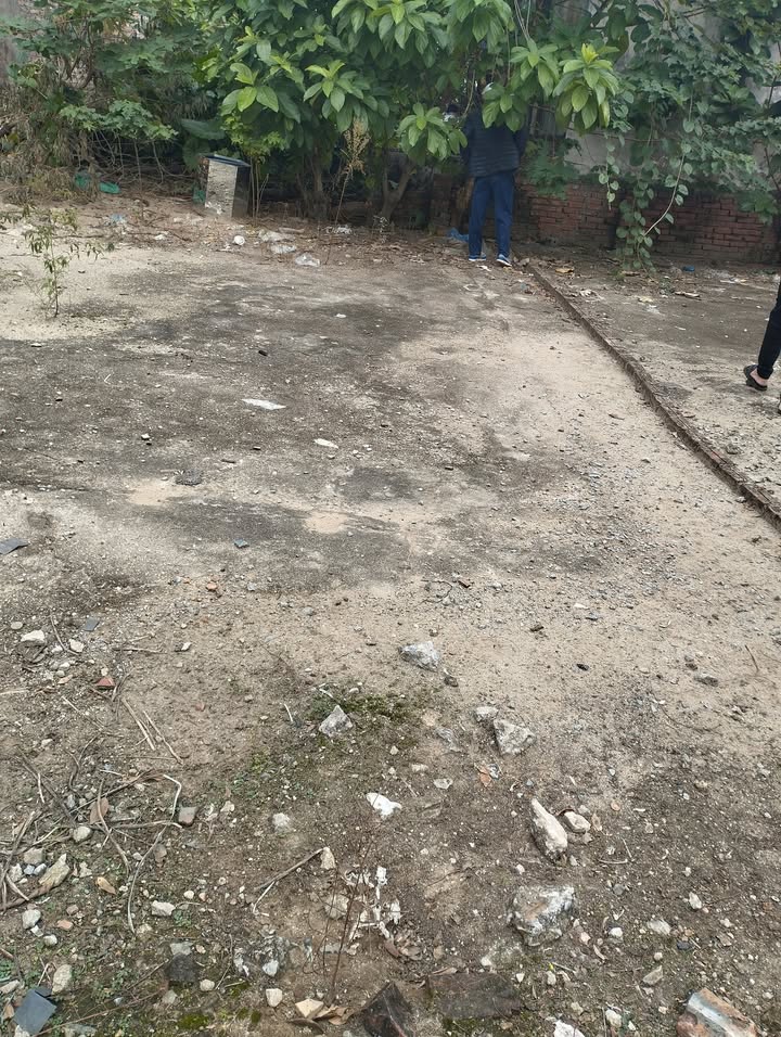 Đất sổ đỏ 39m² tại Tả Thanh Oai - Giá chỉ 1.6 tỷ - Ngõ rộng xe vào thoải mái!