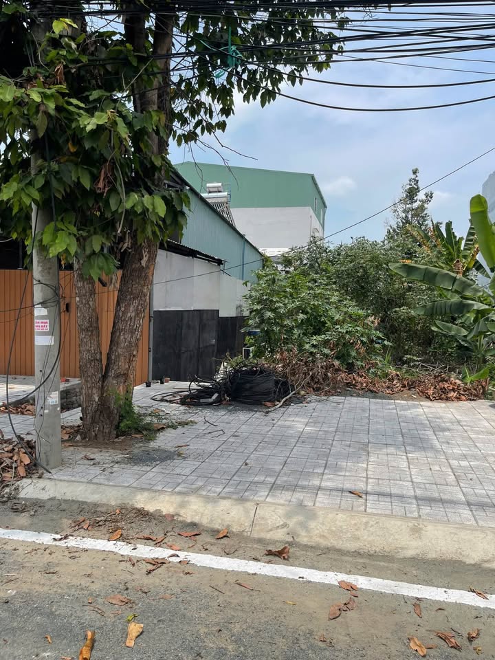 Đất nền Lê Trọng Tấn, Mỹ Phước, Long Xuyên 96m² giá 4 tỷ - Cơ hội đầu tư lý tưởng!