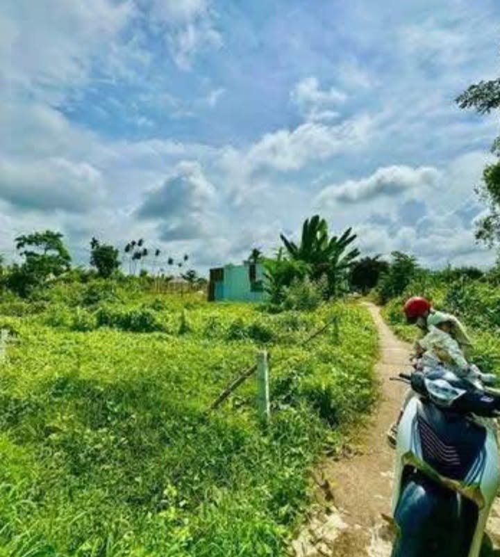 Đất nền Trường Long, Phong Điền 65m² giá 299 triệu - Cơ hội đầu tư tuyệt vời!