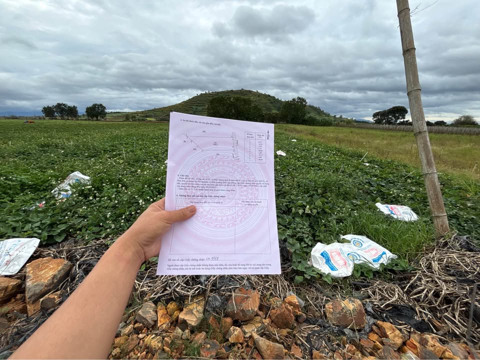 Lô đất 1000m² xã Đức Trọng giá chỉ 900 triệu - Cơ hội đầu tư hấp dẫn!