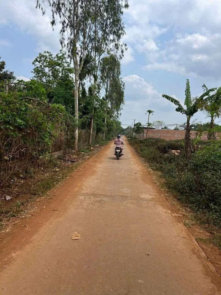 Đất nền Ea Hồ, Krông Năng 140m² giá 300 triệu - Cơ hội đầu tư tuyệt vời!