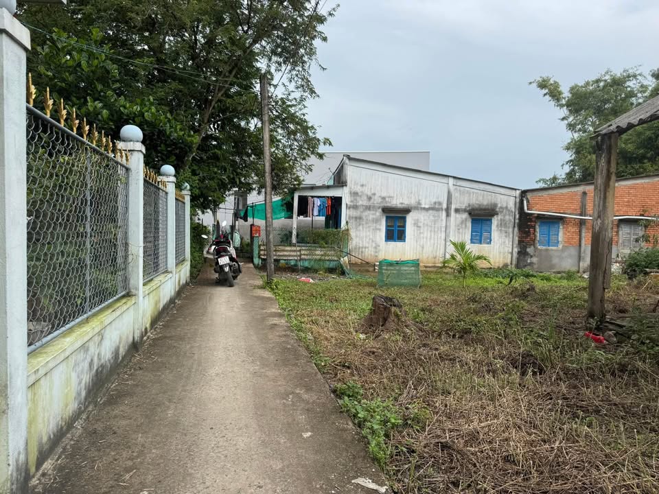 Đất vườn Long Hựu Tây 352m² giá 350 triệu - Đầu tư sinh lời ngay!