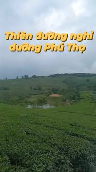 Đất Farm nghỉ dưỡng Ngọc Đồng, Yên Lập 5500m² giá chỉ 1 tỷ - Đầu tư sinh lời ngay!