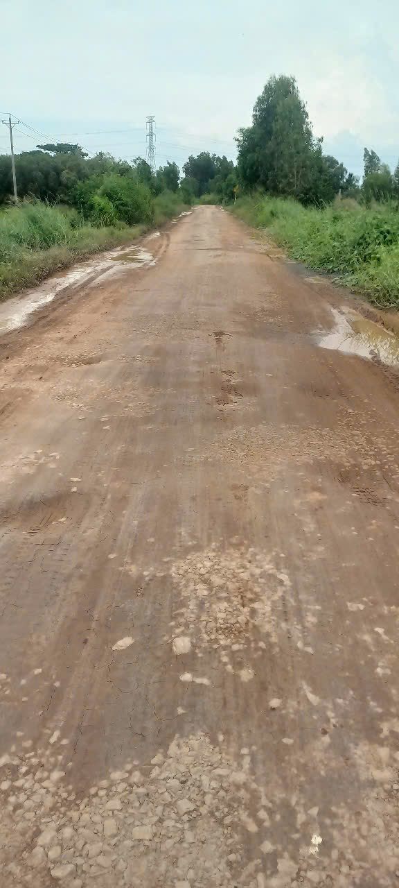 Đất nông nghiệp 8000m² tại xã Thạnh An, giá 6.4 tỷ - Cơ hội đầu tư tuyệt vời!