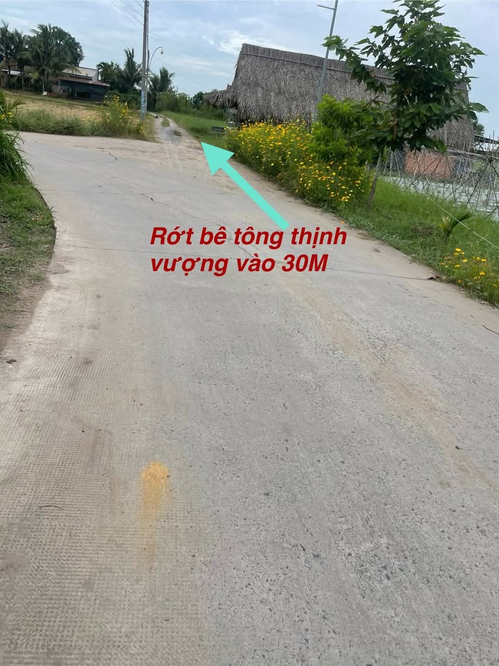 Đất nền Đức Hòa Thượng 713m² giá 2.5 tỷ - Sổ hồng chính chủ!