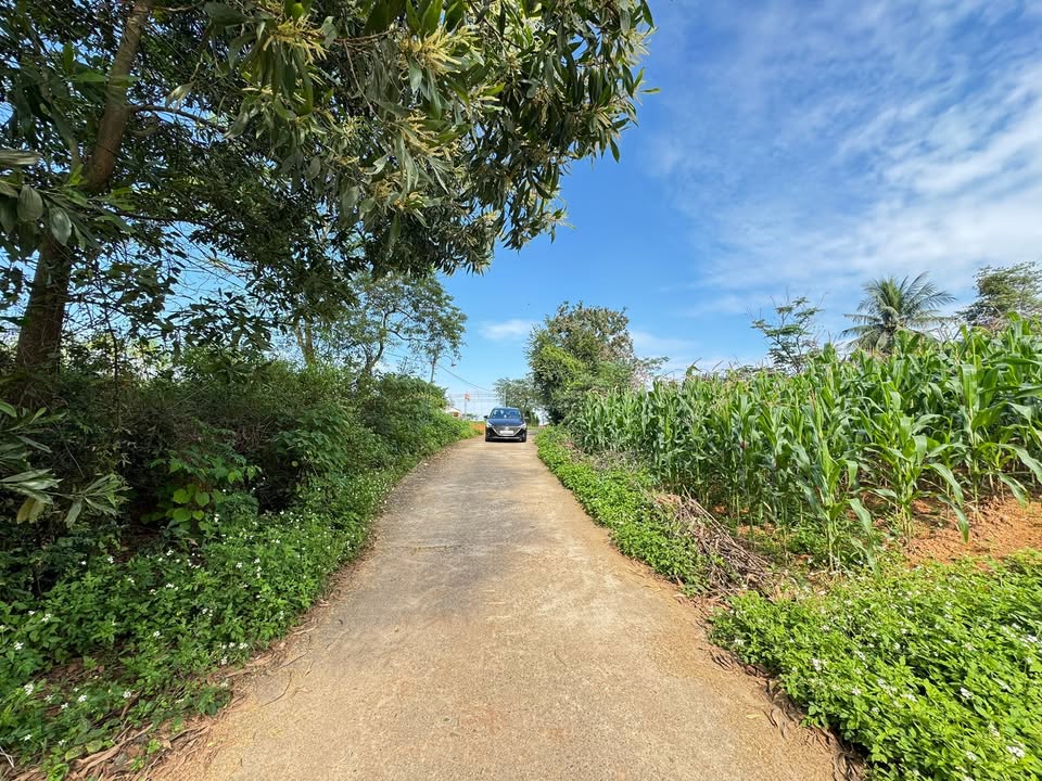 Lô đất 97m² tại Khu 7 - Thanh Đình, Việt Trì chỉ 600 triệu - Đầu tư sinh lời chắc chắn!