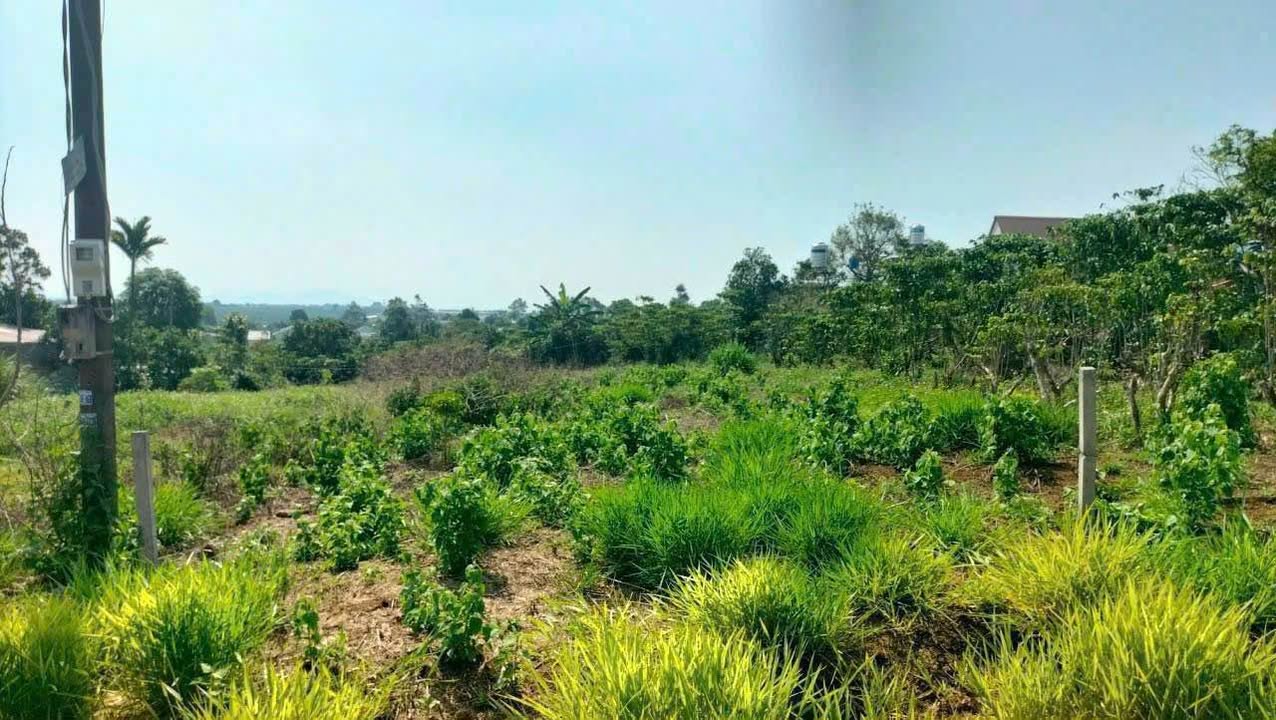 Đất mặt tiền Lộc Quảng 271m² giá 950 triệu - Gần chợ và nhà thờ