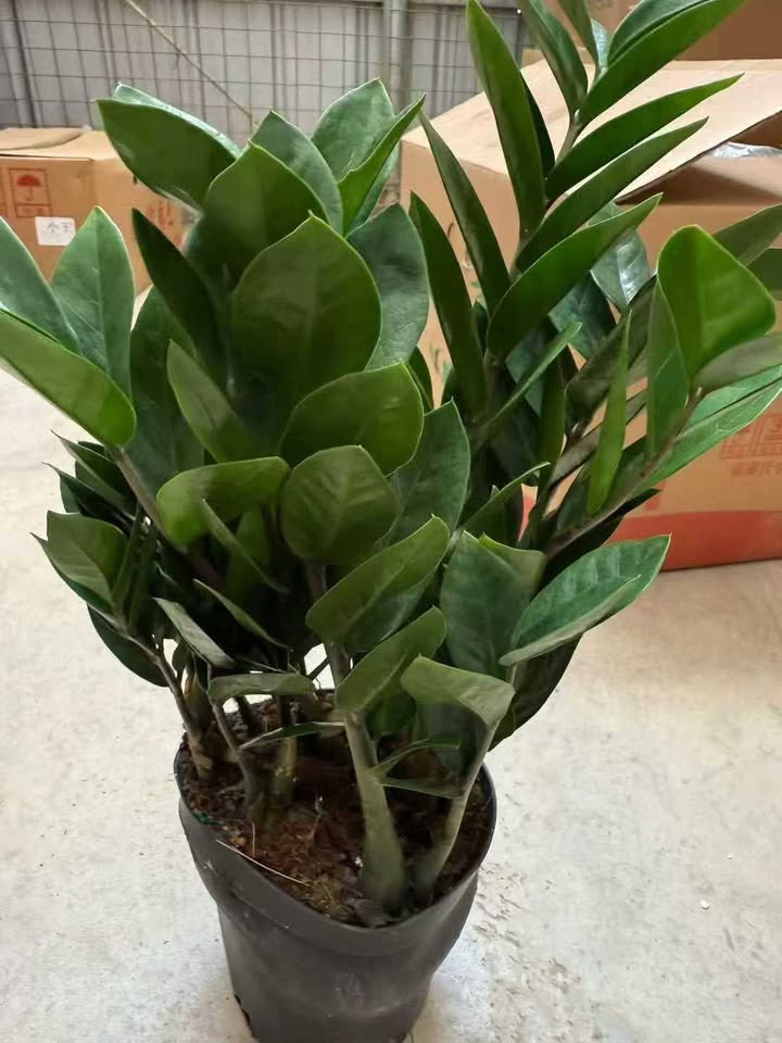 Đất nền Tổ 3, Phường Tân Hòa, Hòa Bình 120m² - Sổ đỏ chính chủ, giá chỉ 1 tỷ!