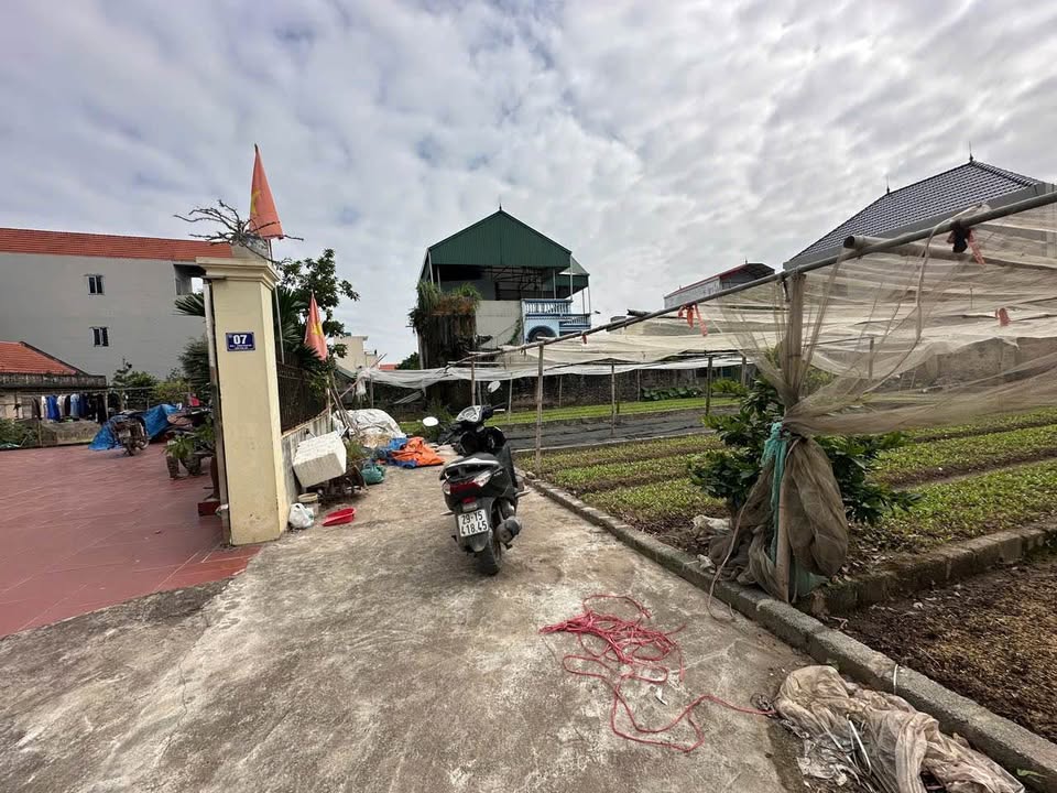 Đất nền Thư Phú Thường Tín 62.9m² - Mặt tiền 4.74m, Đón Tài Lộc