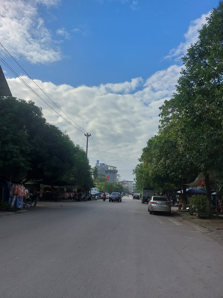 Đất đẹp đường Trần Bình Trọng, Bắc Giang 185m² - Cơ hội đầu tư hiếm có!