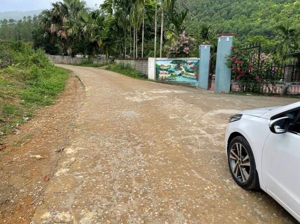 Đất nền lô góc 100m² trục chính Thanh Thuỷ giá 500 triệu - Đầu tư sinh lời cao!