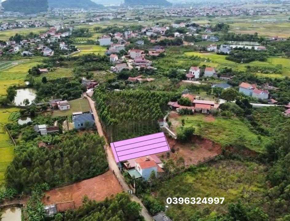 Đất nền liền kề Tam Dị Lục Nam - 125m² giá chỉ 380 triệu - Cơ hội đầu tư tuyệt vời!