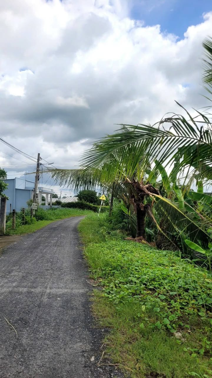 Đất thổ cư 2500m² tại Lăng Hoàng Gia, Gò Công - Giá chỉ 6.72 tỷ!