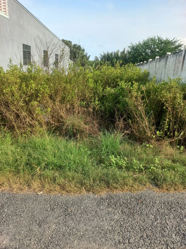 Đất thổ cư 500m² tại Phước Trị, Duyên Hải - Giá 1.1 tỷ, Sổ hồng chính chủ!