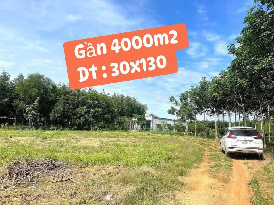 Đất xào mặt tiền xã Minh Thạnh, DT 3900m² giá 1.55 tỷ - Sổ hồng riêng chính chủ!