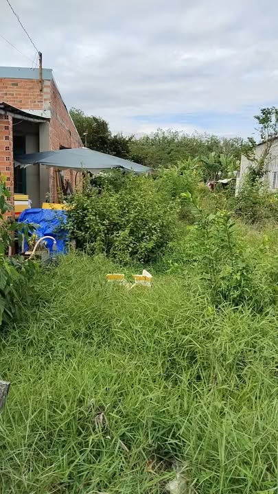 Đất nền An Phú, An Tịnh, Trảng Bàng 275m² giá chỉ 530 triệu - Cơ hội đầu tư tuyệt vời!