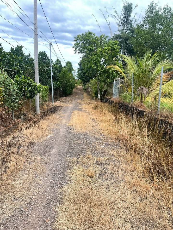 Đất thổ cư 1,3 sào Thị Trấn Vĩnh An giá 1,6 tỷ - Cơ hội đầu tư tuyệt vời!