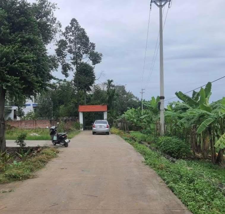 Đất thổ cư 100m² tại Phường Việt Trì giá 2 tỷ - Vị trí đẹp, thoáng mát!