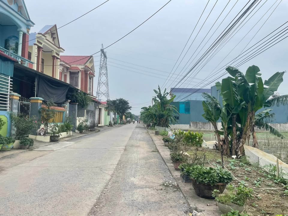 Đất nền Thiệu Tiến 125m² giá 1.1 tỷ - Vị trí đắc địa cho đầu tư!