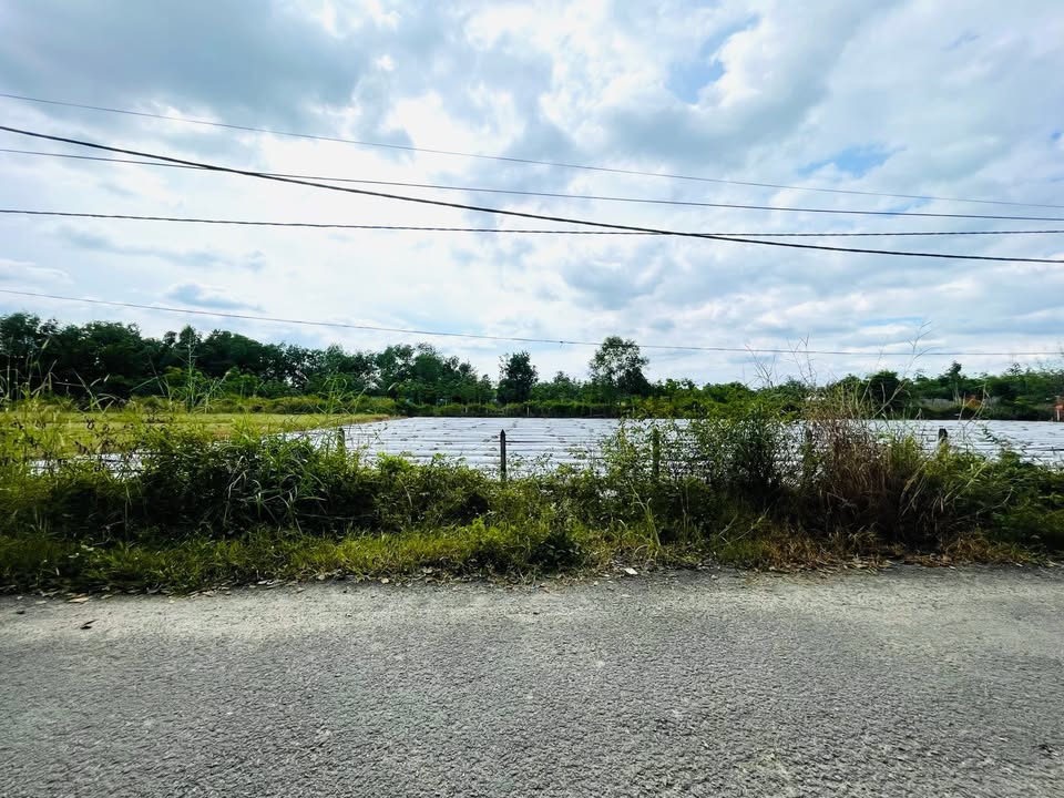 Đất nền thổ cư 1344m² tại đường Bà Thiên, xã Nhuận Đức, Củ Chi - Vị trí đẹp, tiềm năng phát triển!