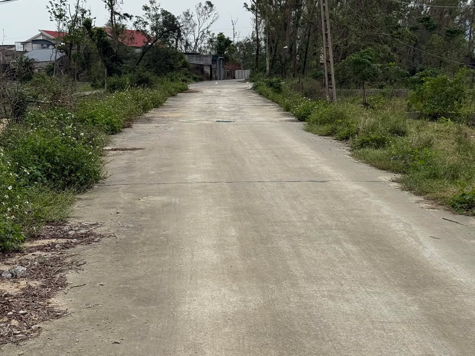 Đất nền Xuân Mỹ Nghi Xuân 217m² giá 1.3 tỷ - Đường thông rộng quy hoạch 8m