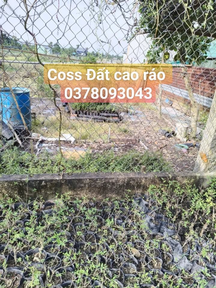 Đất nền 923m² xã Tân Dương giá 900 triệu - Mặt tiền đường ô tô