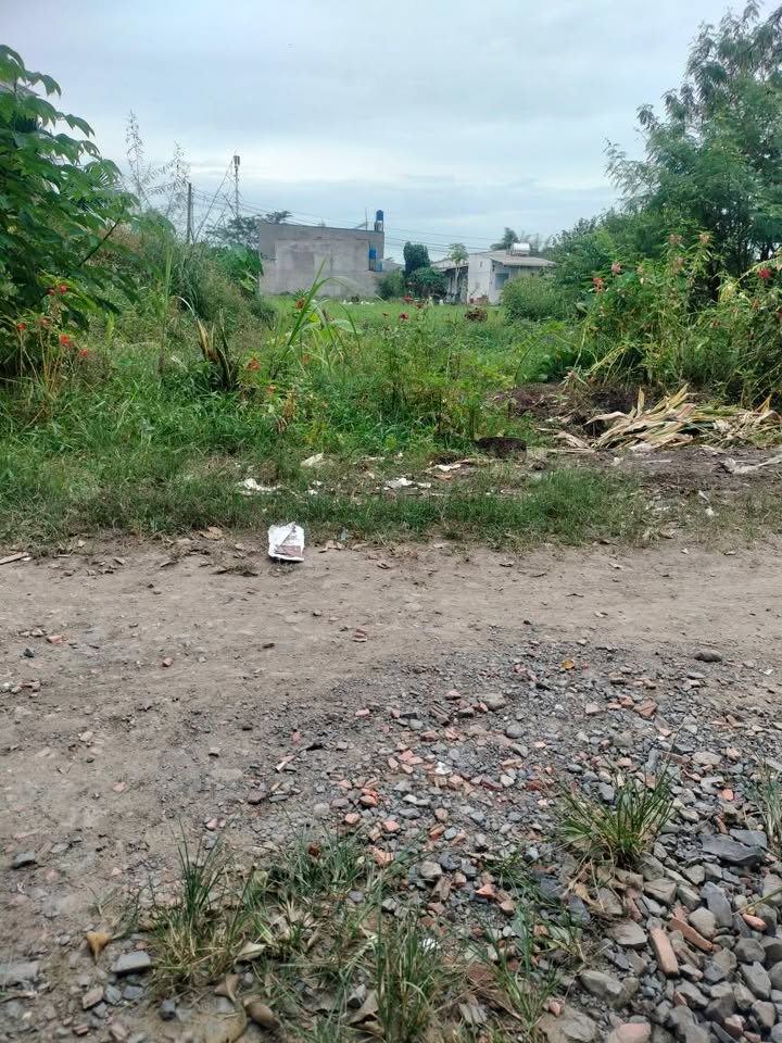 Đất thổ cư Mỹ Hạnh Bắc 170m² giá 1.5 tỷ - Bán gấp chính chủ!