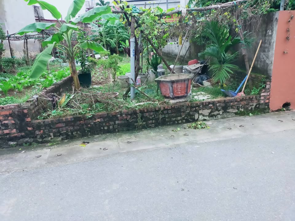 Đất thổ cư Mai Đình 108m² giá 6 tỷ - Vị trí đắc địa tiềm năng tăng giá cao!