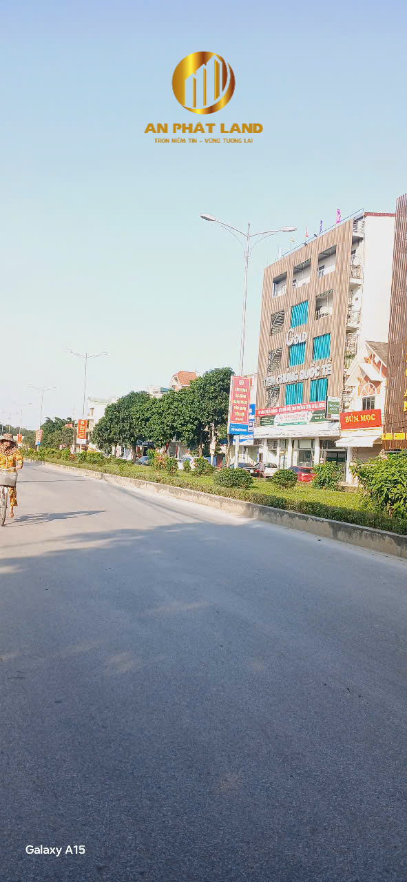 Bán đất tặng nhà cấp 4 tại đường Lê Thái Tổ, Ninh Bình - Kinh doanh sầm uất!