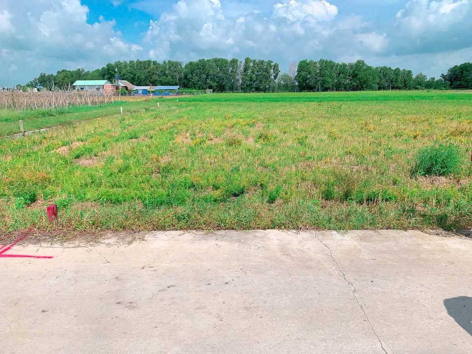 Đất thổ cư 300m² tại Ấp Đức Ngãi 2, Tây Ninh - Giá 1.8 tỷ, mặt tiền đường bê tông!